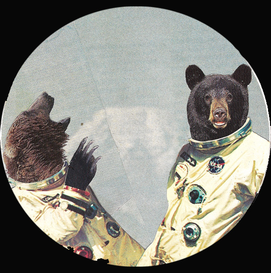 bearstronauts copy